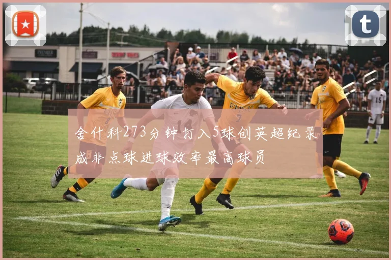 舍什科273分钟打入5球创英超纪录成非点球进球效率最高球员